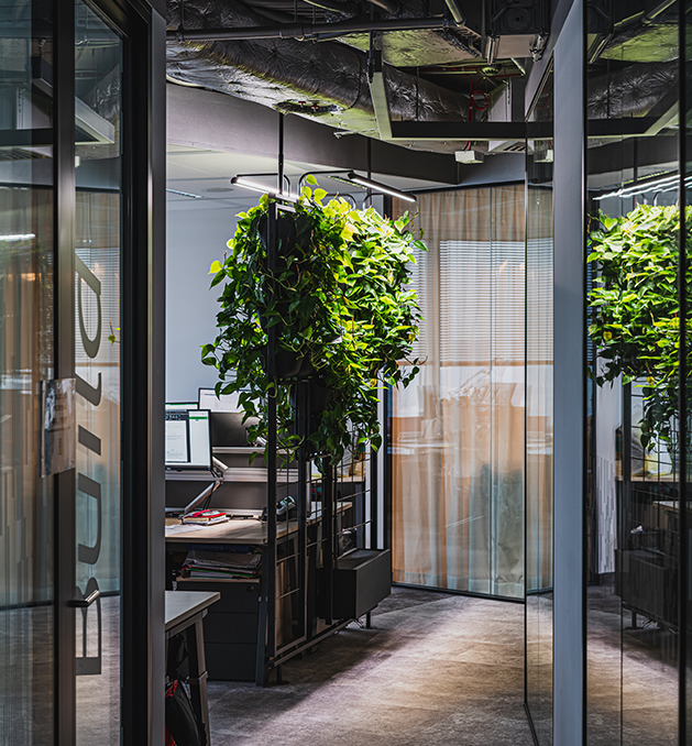 meble z żywym ogrodem wertykalnym