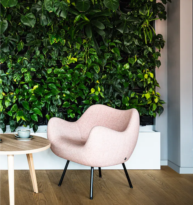 żywe ściany - ściany wertykalne