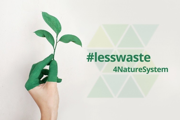 Biofilic Design - green walls arranged in a modern office