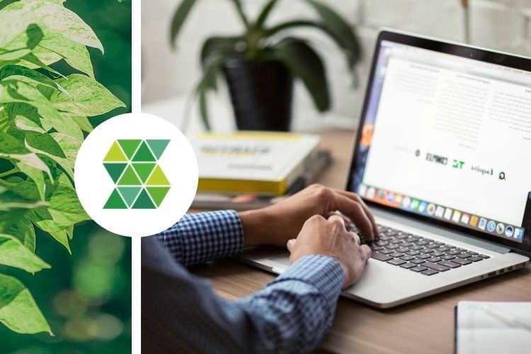 A prototype of the innovative furniture line with an integrated vertical garden system