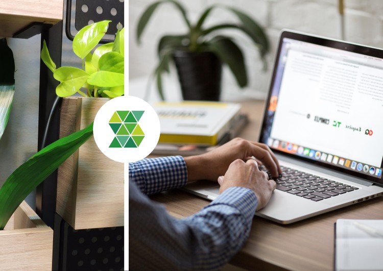 Pracownicy warszawskich biur przetestują nasze roślinne meble