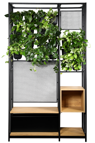 mobilny ogród wertykalny njoy