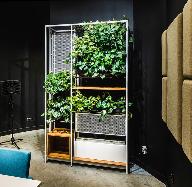 mobilne zielone ściany