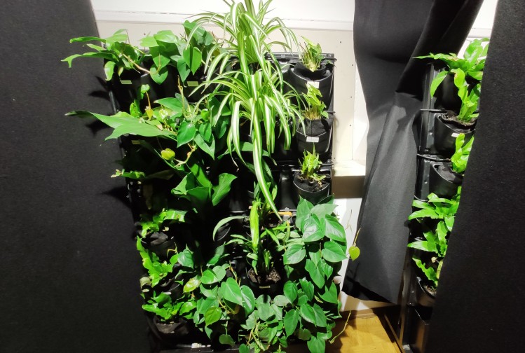 4Nature System research