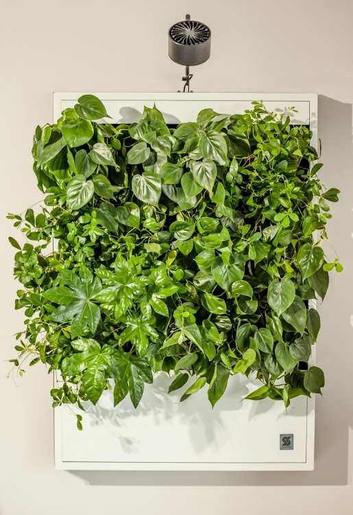 4Nature Smart na targach IMM w Kolonii