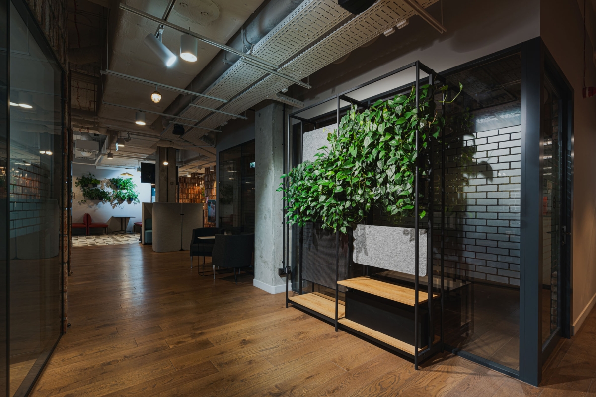 jak zaprojektować zieleń w biurze