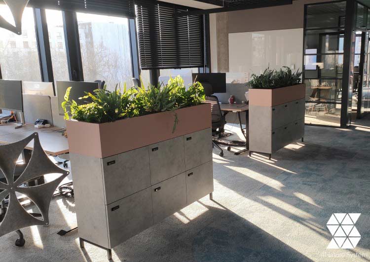 Key assumptions of the biophilic design