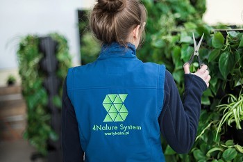 Green wall maintenance process - how do we care for vertical gardens?