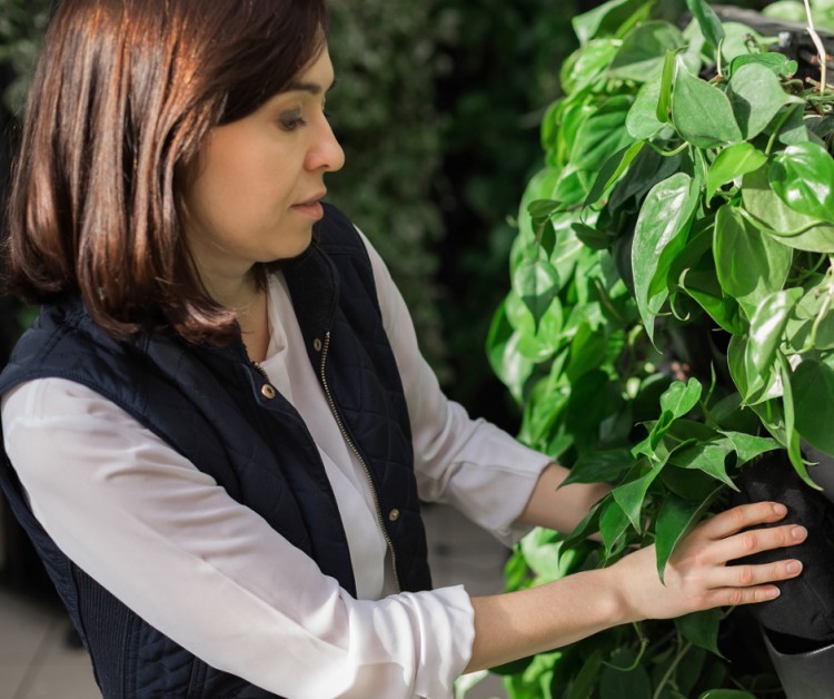 kompozycja wertykalna we florystyce