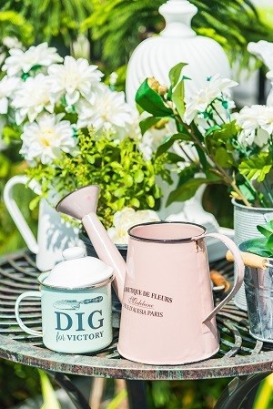 Leave and plants in the house