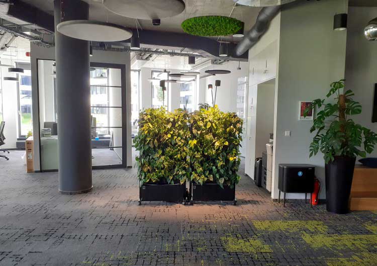 Mobile green walls - the advantages of mobile office furniture
