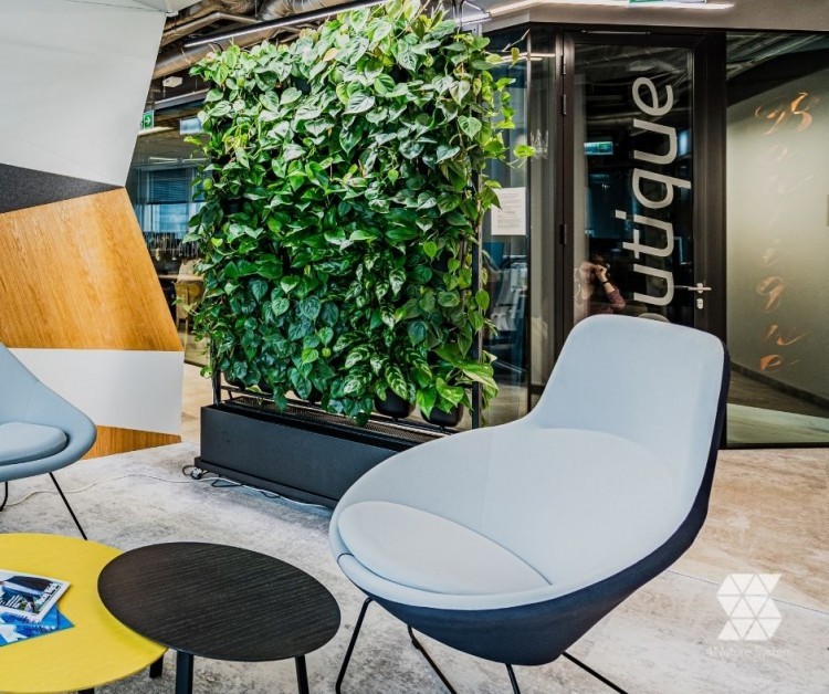 pochwała mobilności - zielone ścianki 4nature basic