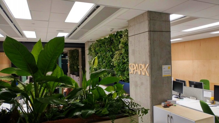 Safe and comfortable return to the offices